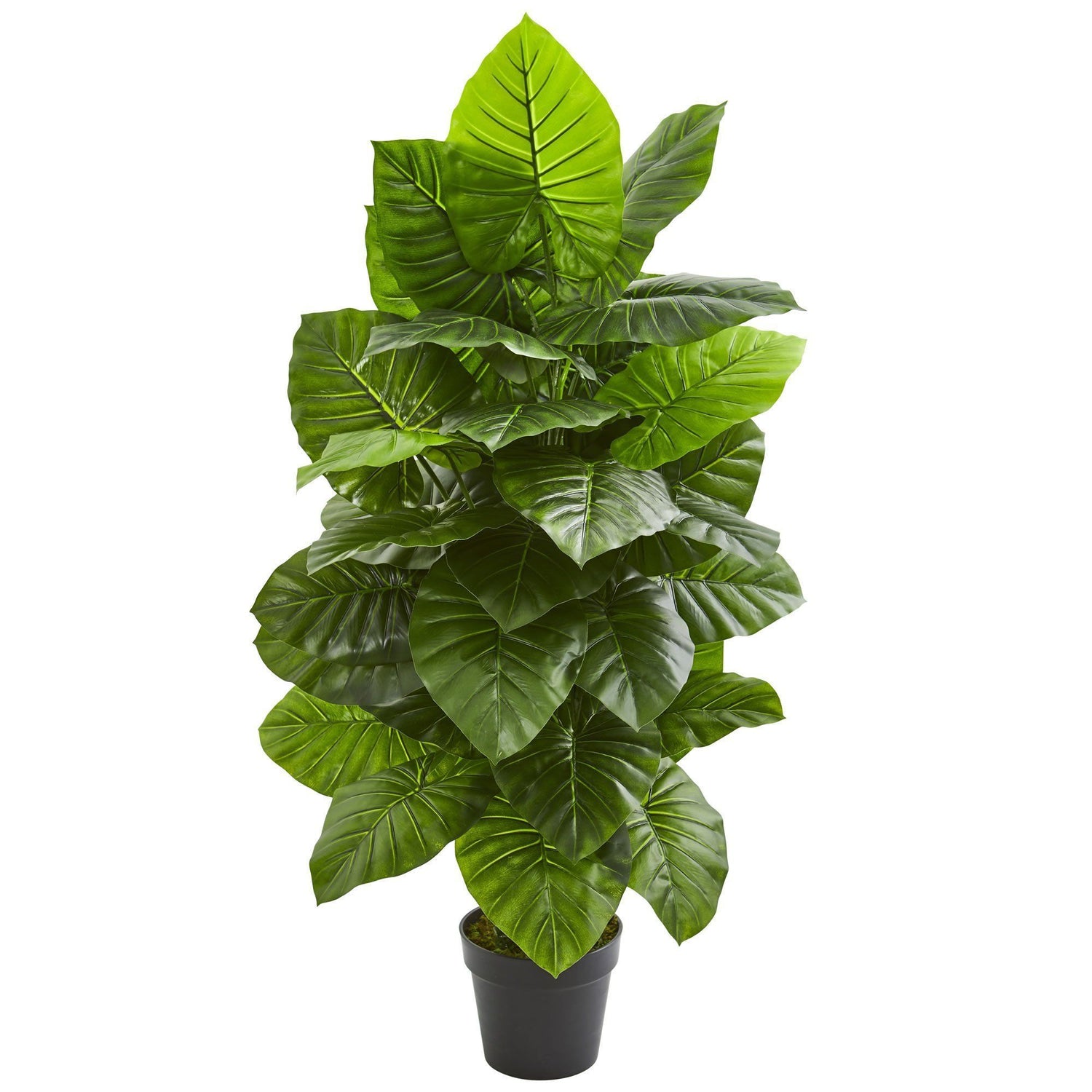 Taro Artificial Plant