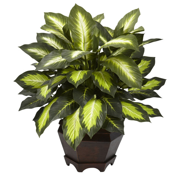 Triple Golden Dieffenbachia w/Wood Vase