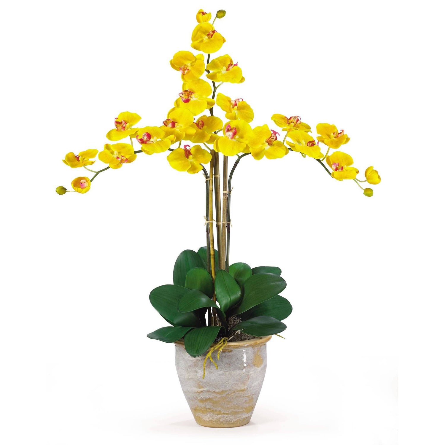 Triple Stem Phalaenopsis Silk Orchid Arrangement